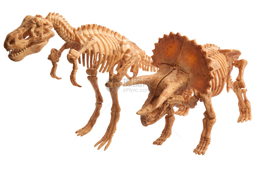 史前模型玩具白上隔离的巨型恐龙和强图片