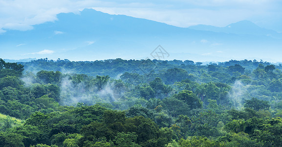 墨西哥人恰帕斯的森林风景与山岳交汇于墨西哥恰帕斯公园丛林图片