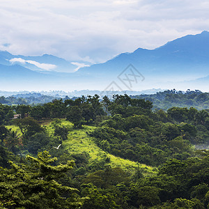 植被古老的外部墨西哥恰帕斯的森林风景与山岳交汇于墨西哥恰帕斯图片