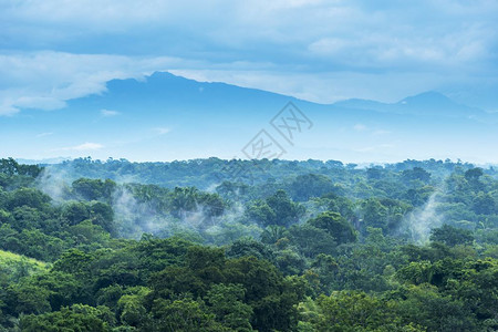 风景优美天空墨西哥恰帕斯的森林风景与山岳交汇于墨西哥恰帕斯丛林图片
