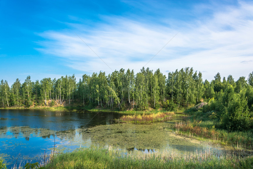 一种美丽的风景与一个小湖在阳光明媚的夏日俄罗斯天白色的图片