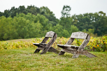 秋天绿色公园的空长椅花图片