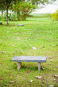 树叶公园草坪上的一席长椅草坪上的叶子绿色坐图片
