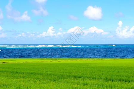 蓝海全景色的冷静背景图片