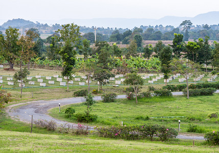 旅行场地在泰国农村场修筑沥青路的曲线自然图片