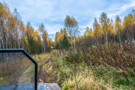 草俄罗斯Kostroma地区秋天的泥土路乡村图片