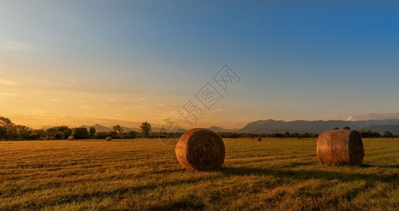 田边风景HayHay在金夕阳的田地上乡村土纳达林图片