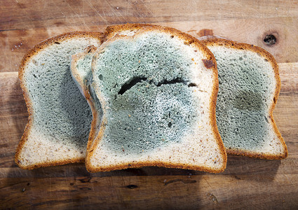 不良绿色和白斑的发霉面包其成芽迅速生长有毒霉菌图片