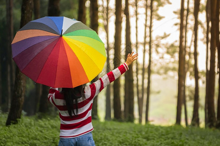 雨伞女孩撑着彩色伞的女孩背景