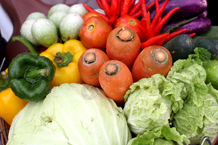 多种蔬菜萝卜黄瓜卷心菜和辣椒新鲜的种类干净图片
