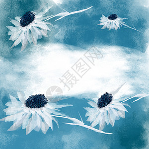 荒野蓝色背景的美丽白花朵水彩时髦的蓝色图片