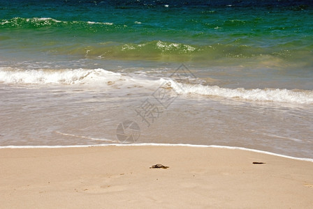 澳大利亚东海岸滩的触目惊心颜色田园诗般引人注目夏天图片