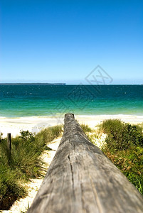 绿澳大利亚东海岸滩的触目惊心颜色引人注目海洋图片