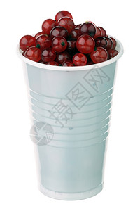 一种黑醋栗农作物在白色背景孤立的塑料杯中红长袍图片