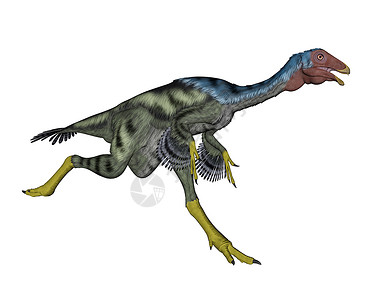 史前在白色背景下运行的3D类恐龙鸟白垩纪背景图片