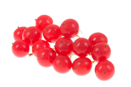 白线上隔离的红色毒理素成熟树酸果蔓图片