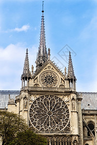 巴黎圣母院玫瑰花结蓝色的巴黎Cathedrale圣母会的罗塞特背景图片