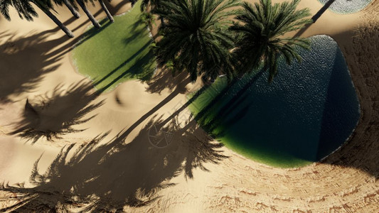 湖阴霾自然3d开垦沙漠中的绿洲图片