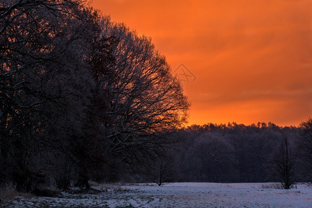 寒冬在森林边缘日出冬季预订雪天空图片