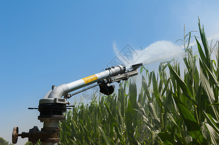 玉米采摘器乡村的喷嘴高清图片