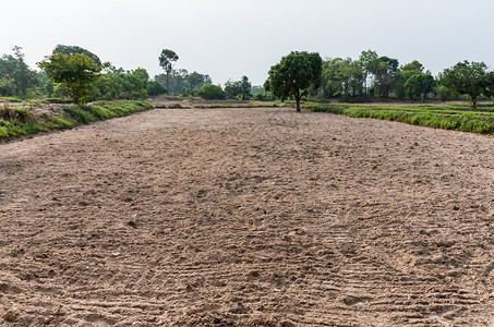 田地耕种准备在泰国农村耕种土地景观植物树地面高清图片素材