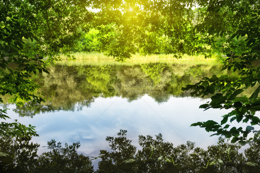 河孤独隐私明媚阳光下绿叶环绕湖面夏日风景私密旅行和自由的概念明媚阳光下绿叶环绕湖面图片