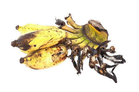 食物剥烂白背景孤立的里普香蕉图片