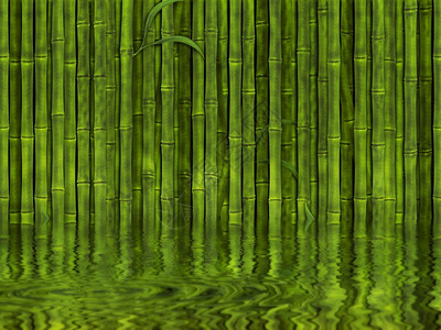 水中的竹林反射图片