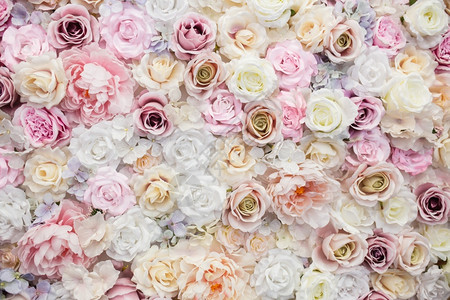 粉色的花美丽情人节背景玫瑰花朵图片