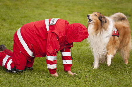 营救犬中队训练帮助火搜索图片
