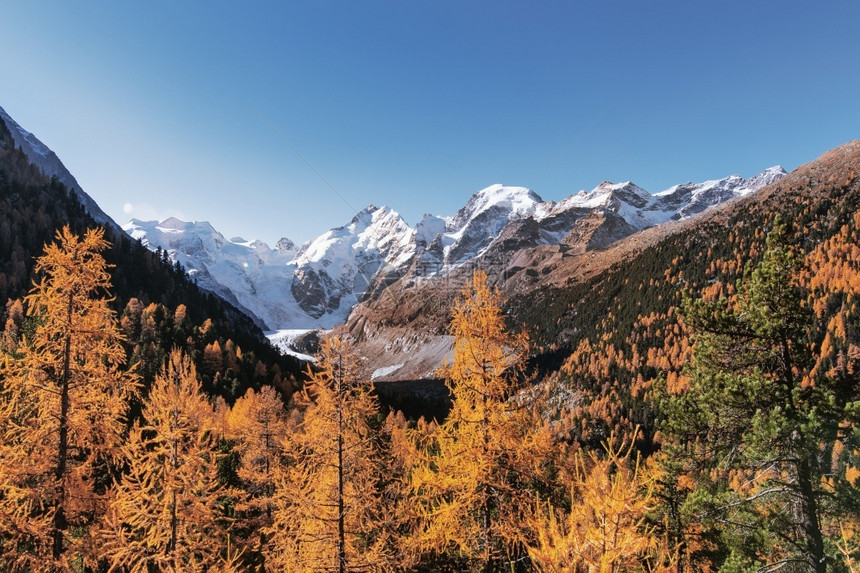 风景Morteratsch冰川秋天与伯尼娜蕾丝在瑞士冒险惊人的图片