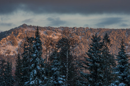 清晨山上白雪覆盖的森林在黎明冬天风景的山中白雪覆盖森林天空景观远足图片