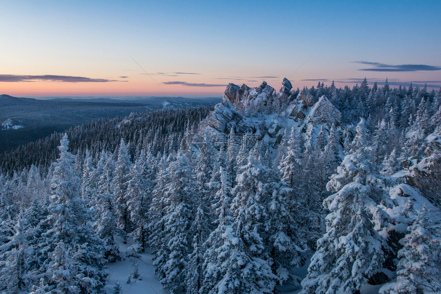 白色的季节寒冷清晨山上白雪覆盖的森林在黎明冬天风景的山中白雪覆盖森林图片