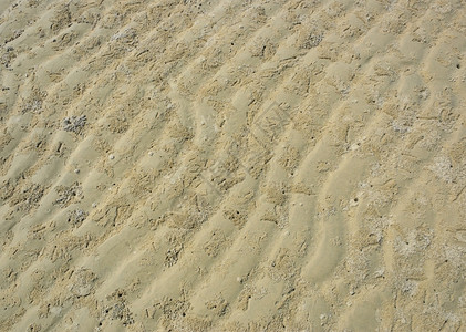 沙滩波和螃蟹洞图片