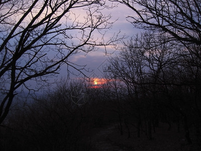 黑暗的日落乌云和道路秋天的日落小路景观图片
