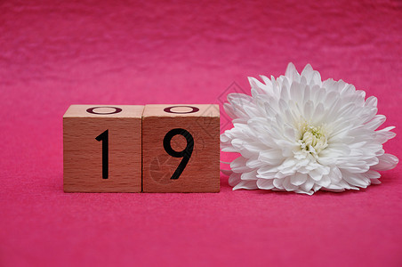 雏菊植物第19号粉红背景的白色绿箭侠数字高清图片
