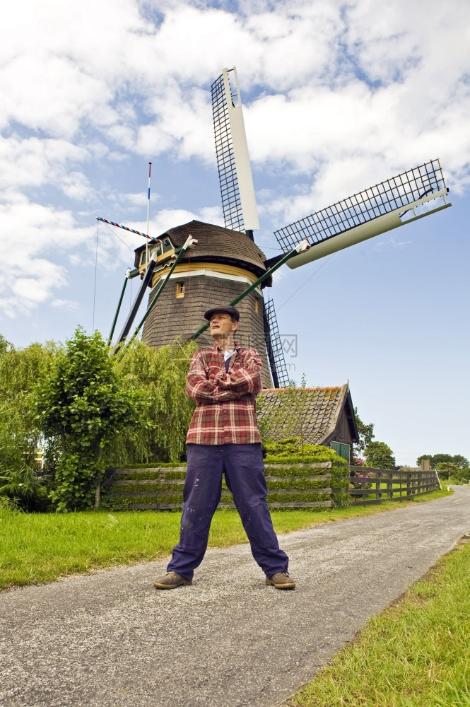 腿斯图迪米勒在经典的荷兰风车前总体乡村的图片