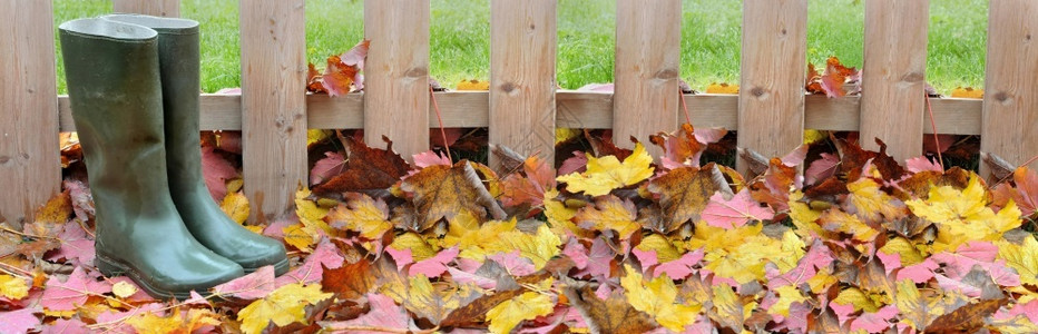 自然开机黄色和红树叶中的橡胶靴在木栅栏前的地面上覆盖在花园中的黄色和红树叶中的橡胶靴在木栅栏前的地面上丰富多彩的背景图片