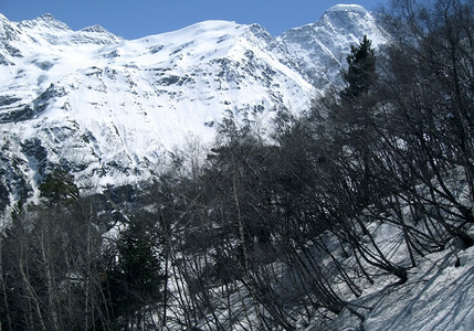 山区和森林季节高加索人冬天图片