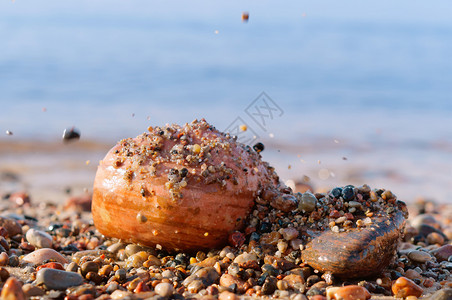 大小的卵石海落在头上海卵落在头上大小的卵石海滩细节鹅卵石图片