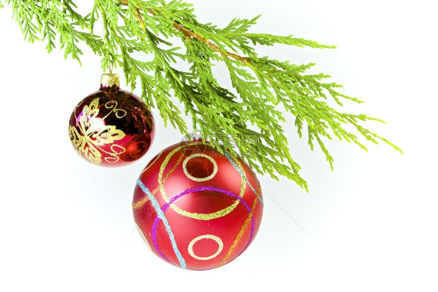 圣诞节日挂饰装在白色背景的圣诞树上装饰品喜庆的球图片