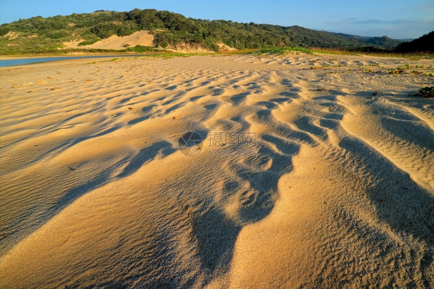 早期的阳光清晨景色海滩南非沙上有风吹模式平静的图片