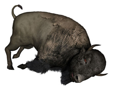 八爪鱼死牛喇叭白背景的Bison与白背景隔离3D导致Bison3D插图牛设计图片