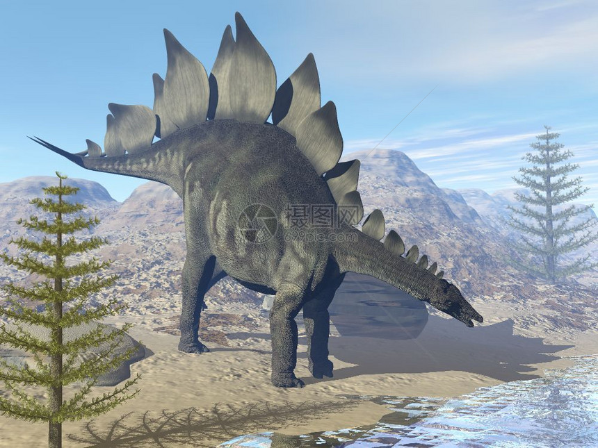 在沙漠中寻找水的恐龙3D化石为DD经过形象的荒野图片