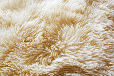 小地毯白色的羊皮地毯华美毛质料图片