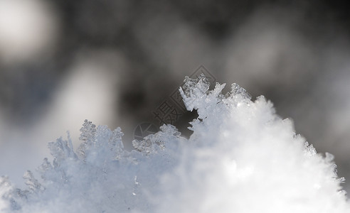 快速地薄片列支敦士登大型积雪圆柱图片