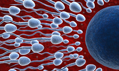 细胞高潮人类摘要3d精子和卵的转化图片素材