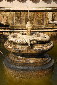 建筑的纪念碑照片美丽的古董蛇喷泉图片