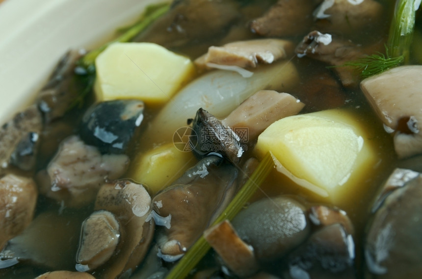 白俄罗斯传统蘑菇汤关闭了白俄罗斯传统蘑菇汤一顿饭肉食物图片