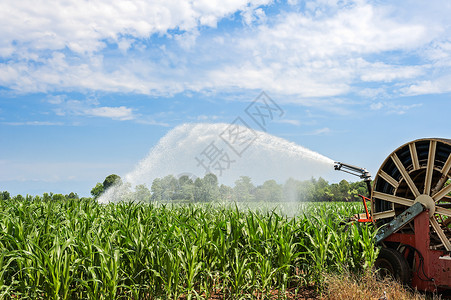 玉米采摘器灌溉管道高清图片